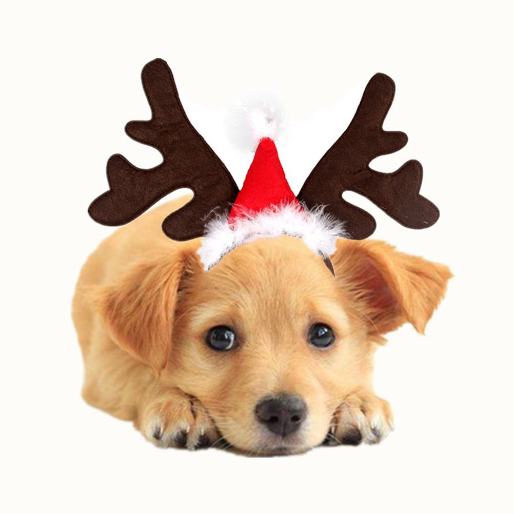 Opaska z rogami jelenia, urocz – Reindeer Antlers Headband recenzja i cena